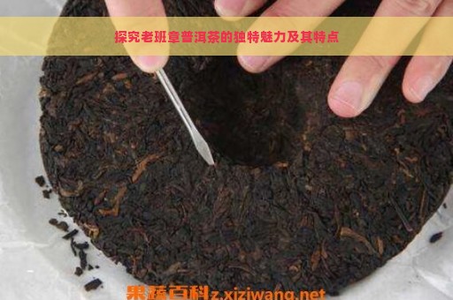 探究老班章普洱茶的独特魅力及其特点