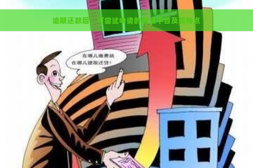 逾期还款后，可尝试申请的网贷平台及其特点