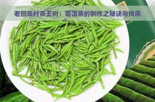 老班章村茶王树：普洱茶的制作之秘诀与传承