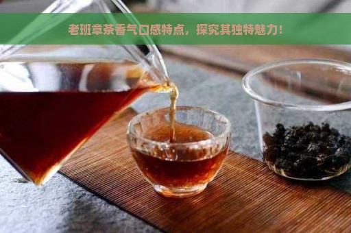 老班章茶香气口感特点，探究其独特魅力！