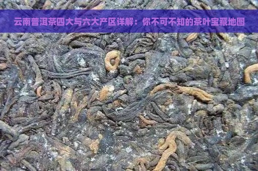 云南普洱茶四大与六大产区详解：你不可不知的茶叶宝藏地图