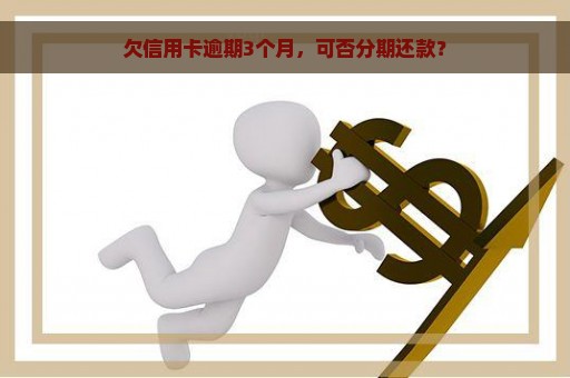 欠信用卡逾期3个月，可否分期还款？