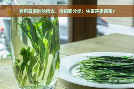 老班章茶叶的档次、价格和分类：生茶还是熟茶？