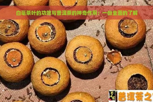 白毫茶叶的功效与普洱茶的神奇作用：一份全面的了解