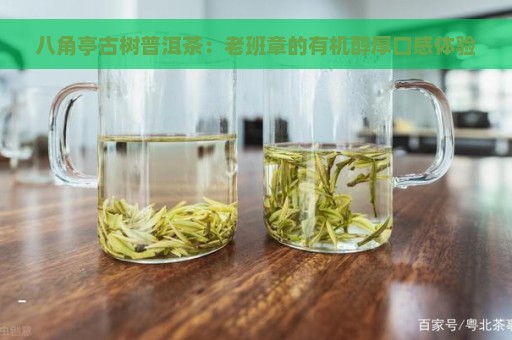 八角亭古树普洱茶：老班章的有机醇厚口感体验