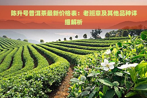 陈升号普洱茶最新价格表：老班章及其他品种详细解析