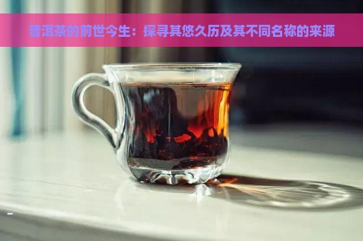 普洱茶的前世今生：探寻其悠久历及其不同名称的来源