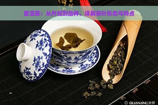 普洱茶：从外观到品种，详解茶叶形态与特点