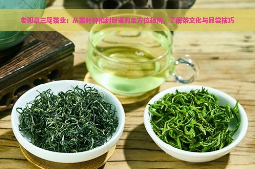 老班章三爬茶业：从茶叶种植到品鉴的全方位指南，了解茶文化与品尝技巧