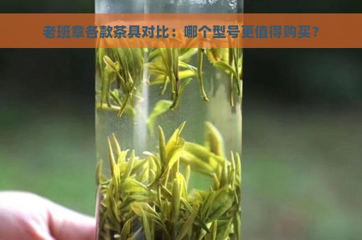 老班章各款茶具对比：哪个型号更值得购买？