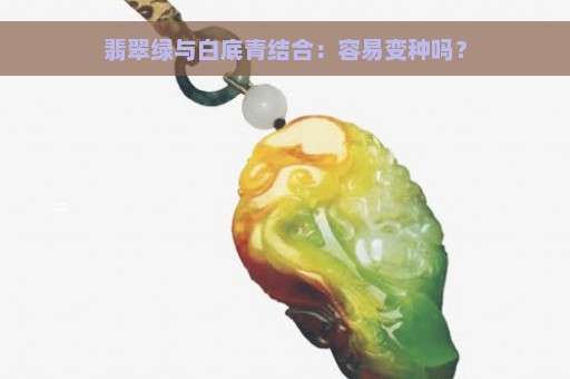 翡翠绿与白底青结合：容易变种吗？