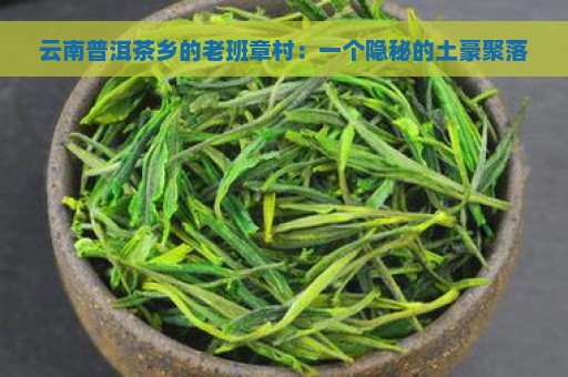 云南普洱茶乡的老班章村：一个隐秘的土豪聚落