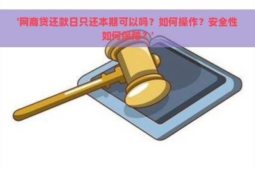 '网商贷还款日只还本期可以吗？如何操作？安全性如何保障？'