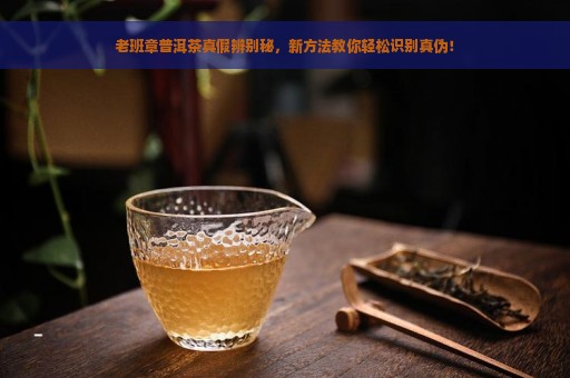 老班章普洱茶真假辨别秘，新方法教你轻松识别真伪！