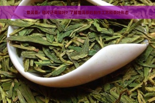 普洱茶：碎片还是整叶？了解普洱茶的制作工艺和茶叶形态