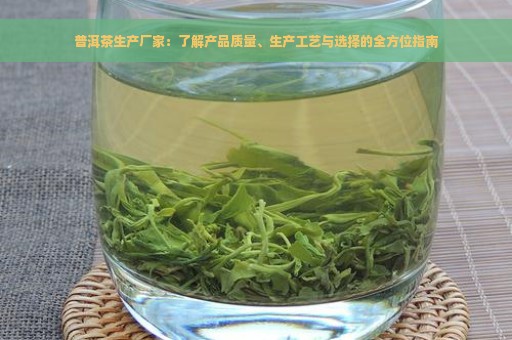 普洱茶生产厂家：了解产品质量、生产工艺与选择的全方位指南