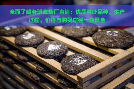 全面了解老班章茶厂直销：优质茶叶品种、生产过程、价格与购买途径一应俱全