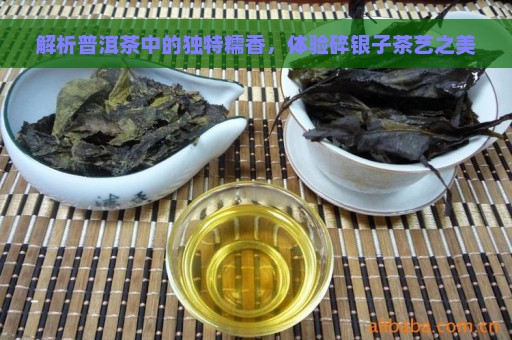 解析普洱茶中的独特糯香，体验碎银子茶艺之美