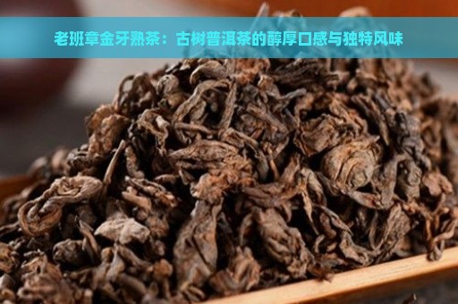 老班章金牙熟茶：古树普洱茶的醇厚口感与独特风味