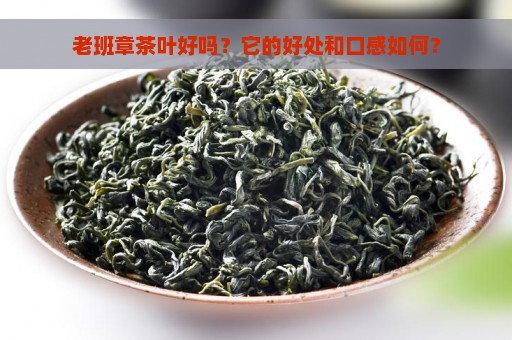 老班章茶叶好吗？它的好处和口感如何？