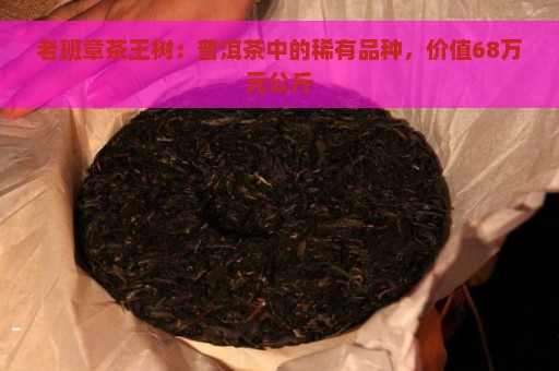 老班章茶王树：普洱茶中的稀有品种，价值68万元公斤