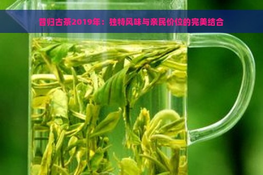 昔归古茶2019年：独特风味与亲民价位的完美结合