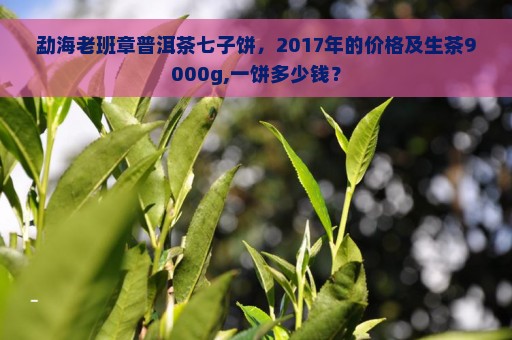 勐海老班章普洱茶七子饼，2017年的价格及生茶9000g,一饼多少钱？