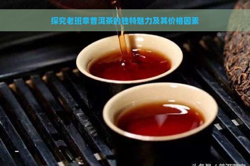 探究老班章普洱茶的独特魅力及其价格因素