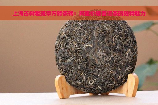 上海古树老班章方砖茶砖：阿里价格普洱茶的独特魅力