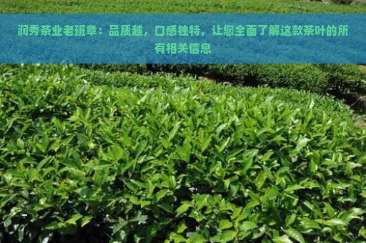 润秀茶业老班章：品质越，口感独特，让您全面了解这款茶叶的所有相关信息