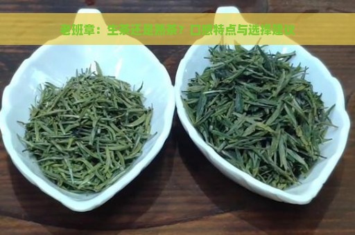 老班章：生茶还是熟茶？口感特点与选择建议