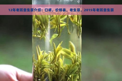 12年老班章生茶介绍：口感，价格表，老生茶，2015年老班章生茶