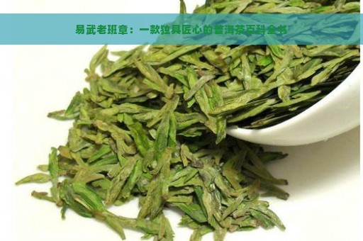 易武老班章：一款独具匠心的普洱茶百科全书