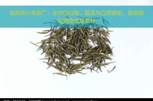 易武同兴号茶厂：全方位价格、品质与口感解析，助您轻松选购优质茶叶