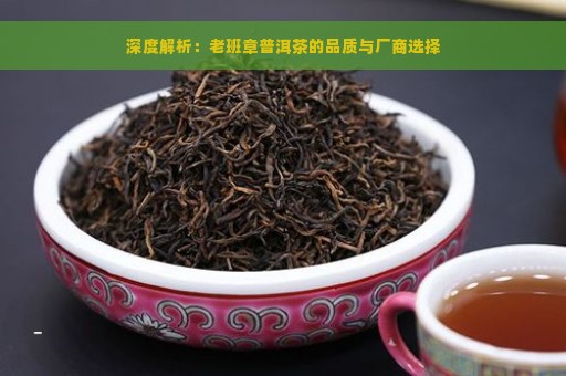 深度解析：老班章普洱茶的品质与厂商选择