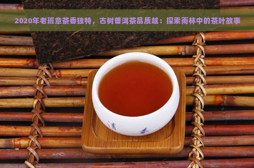 2020年老班章茶香独特，古树普洱茶品质越：探索雨林中的茶叶故事