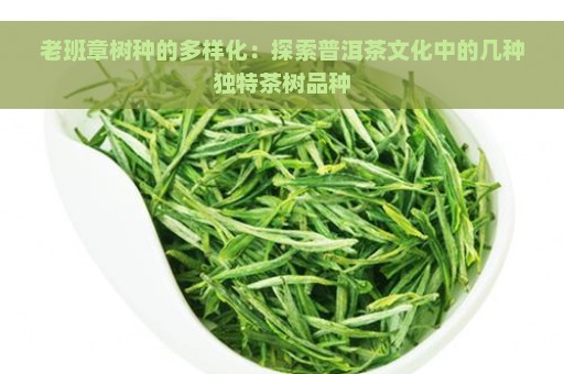 老班章树种的多样化：探索普洱茶文化中的几种独特茶树品种