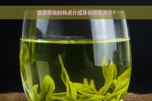 普洱贡饼的特点介绍及价格是多少？