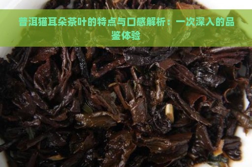 普洱猫耳朵茶叶的特点与口感解析：一次深入的品鉴体验