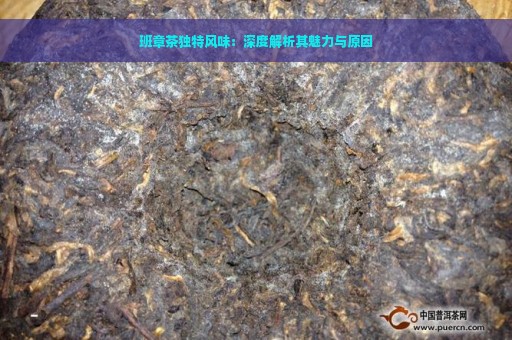 班章茶独特风味：深度解析其魅力与原因