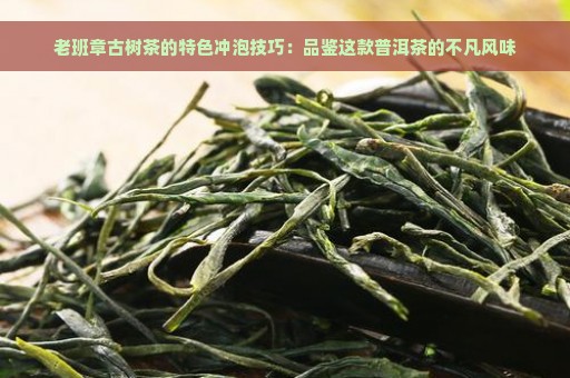 老班章古树茶的特色冲泡技巧：品鉴这款普洱茶的不凡风味