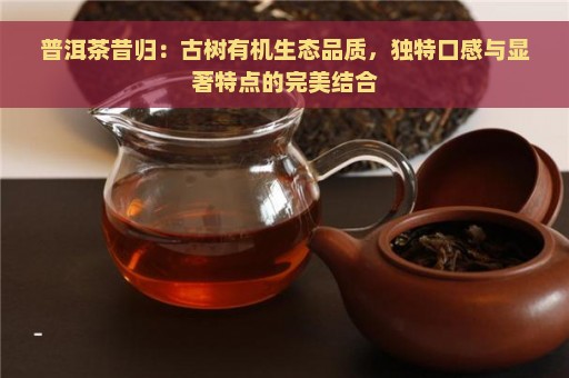 普洱茶昔归：古树有机生态品质，独特口感与显著特点的完美结合