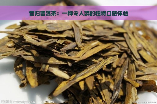 昔归普洱茶：一种令人醉的独特口感体验