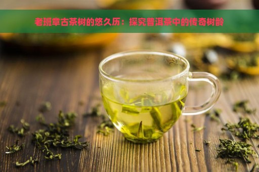 老班章古茶树的悠久历：探究普洱茶中的传奇树龄