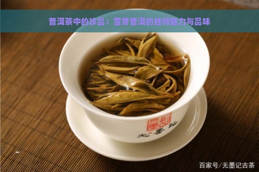 普洱茶中的珍品：雪芽普洱的独特魅力与品味