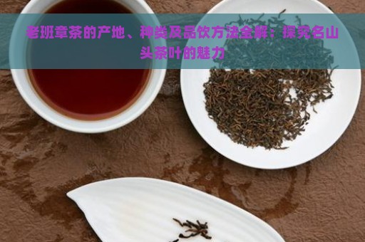 老班章茶的产地、种类及品饮方法全解：探究名山头茶叶的魅力