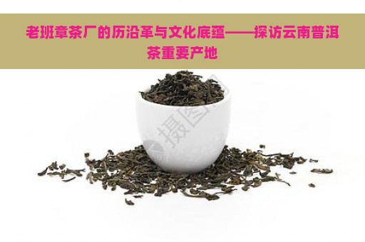 老班章茶厂的历沿革与文化底蕴——探访云南普洱茶重要产地