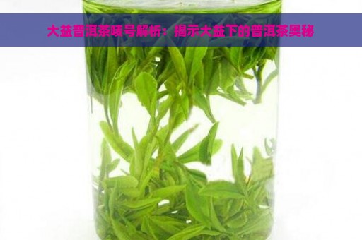 大益普洱茶唛号解析：揭示大益下的普洱茶奥秘