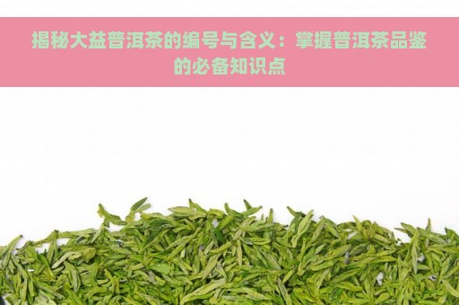 揭秘大益普洱茶的编号与含义：掌握普洱茶品鉴的必备知识点