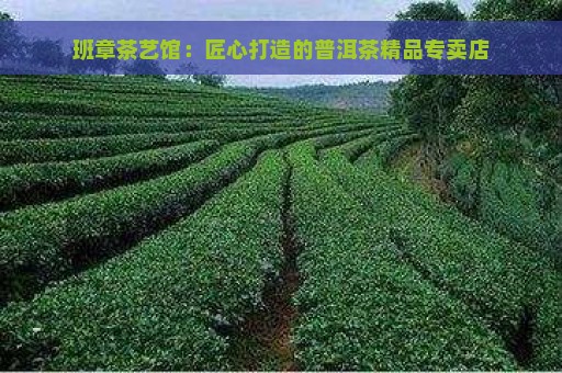 班章茶艺馆：匠心打造的普洱茶精品专卖店